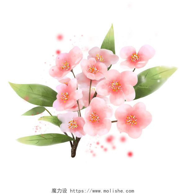 春天 春分手绘写实桃花花朵原创素材